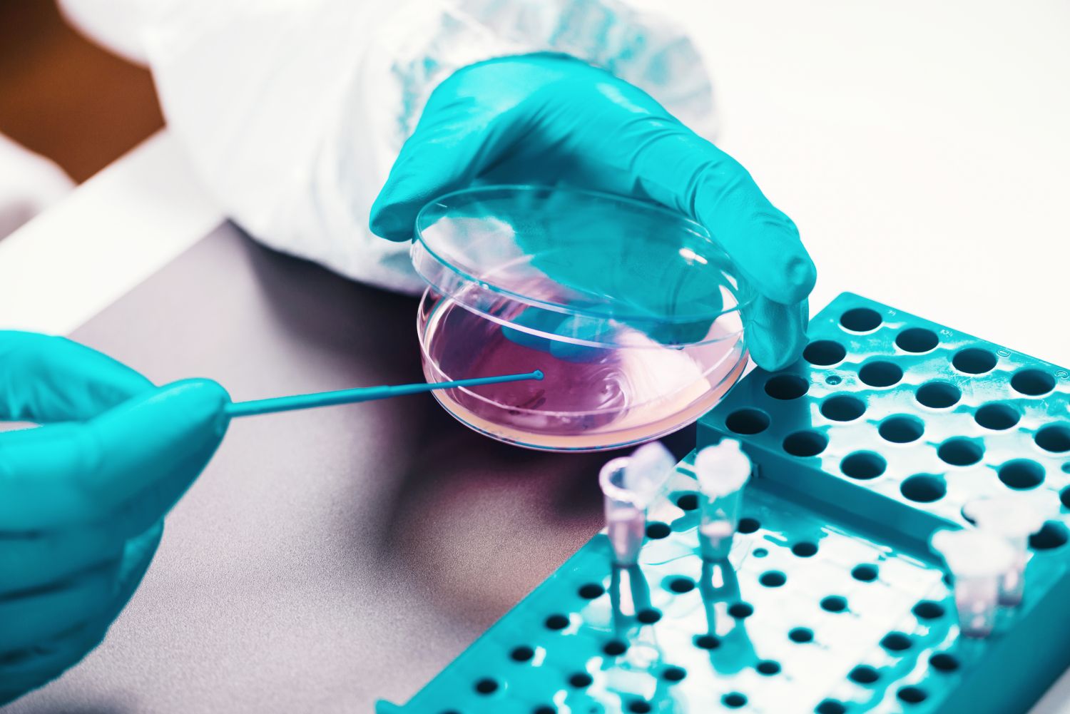 BS Biological Sciences – Microbiology