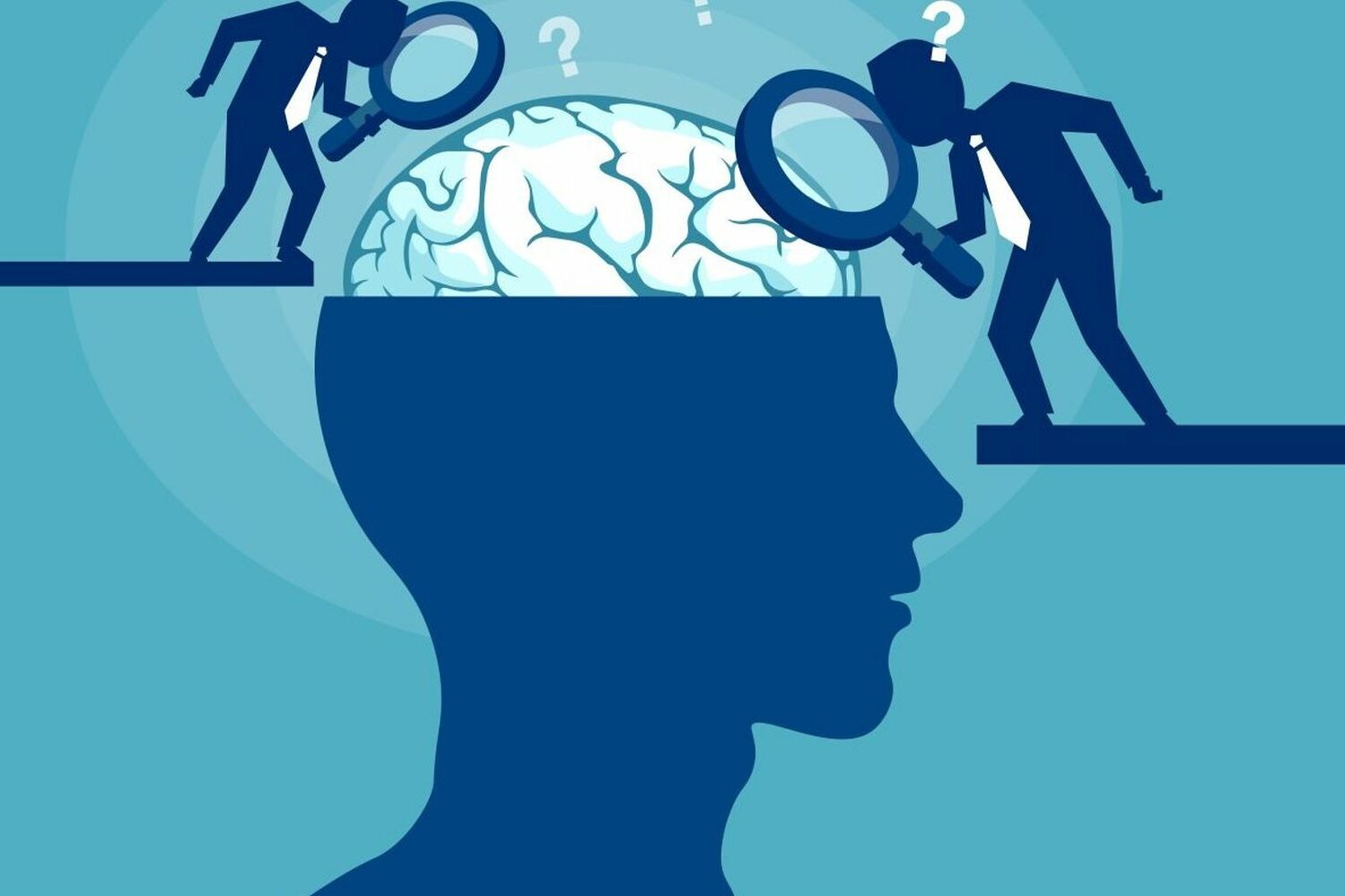 Psychological and Brain Sciences Ph.D.